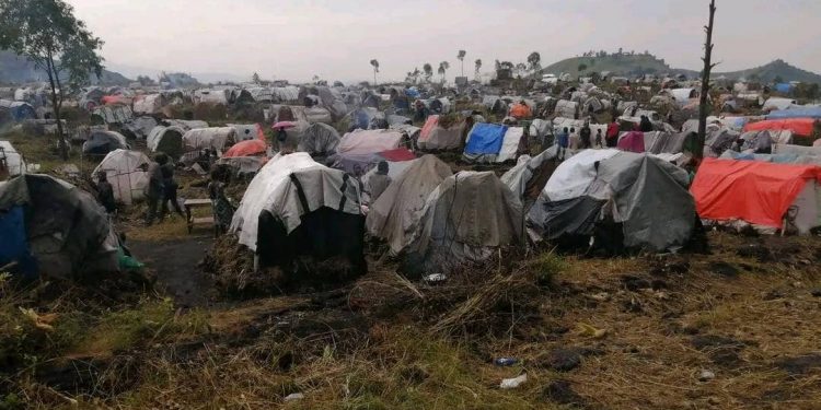 Masisi : les déplacés confrontés à des difficultés à Bashali