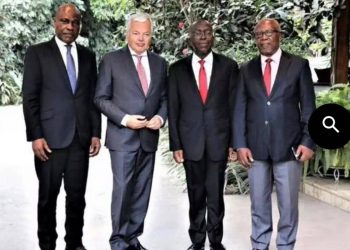 RDC : les leaders de l&rsquo;opposition et Didier Reynders ont échangé sur les élections de décembre