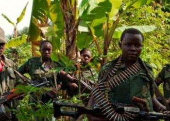 Beni : un élément Mai-mai neutralisé par les FARDC à Nguli