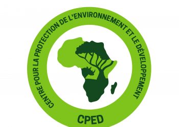 Bas-uélé : le CPED préoccupé par des incursions « répétées » des éléphants dans le village de Bondo