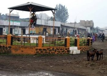 Masisi : la cité de Kitshanga réoccupée !