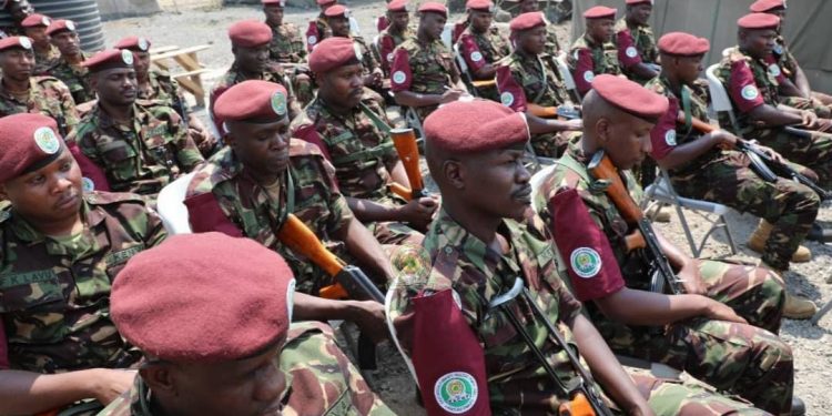 Rutshuru : la Force régionale de l&rsquo;EAC non grata (déclaration)