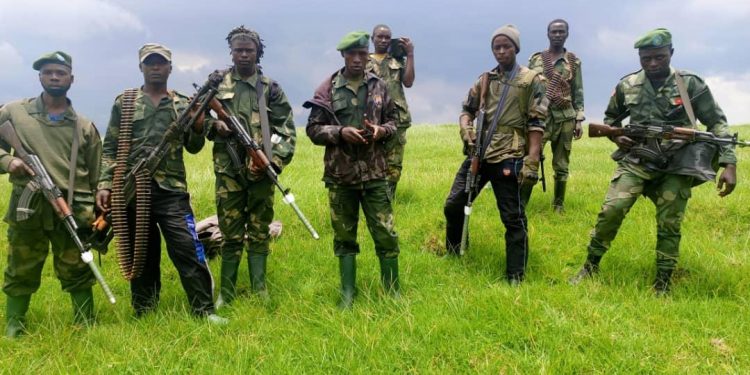 IMG-20231012-WA0005 - Agora Grands-Lacs Guerre de l’Est de la RDC : analyse approfondie des avancées et des risques