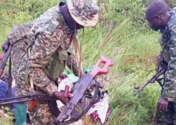 Beni : deux terroristes ADF neutralisés par la coalition FARDC-UPDF