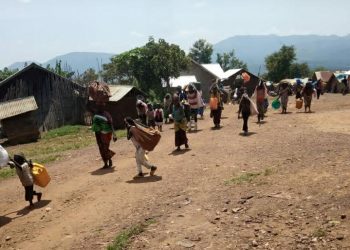 Masisi : retour progressif des populations à Kitshanga