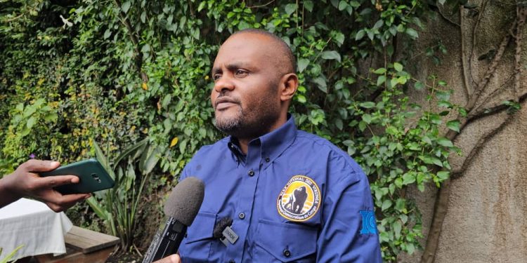 Goma : les journalistes appelés à s&rsquo;impliquer dans la protection des aires protégées