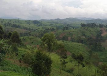 Masisi : la société civile de Bashali s&rsquo;insurge contre l&rsquo;interdiction des activités champêtres par le M23