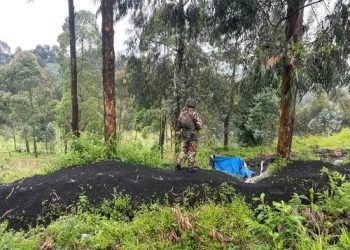 Affrontements M23-Wazalendo : des civils tués dans des bombardements à Rutshuru