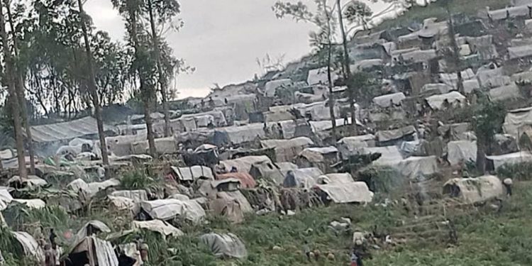 Masisi : des déplacés livrés à leur triste sort à Kitshanga