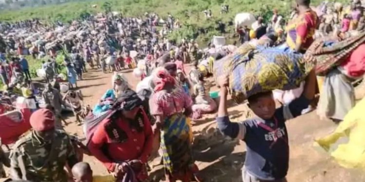 IMG-20231103-WA0098 - Agora Grands-Lacs Rutshuru : de nouveaux affrontements entre résistants et M23 signalés à Bukombo