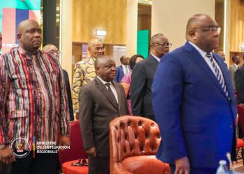 Guerre du M23/RDF : trois pays de la SADC s&rsquo;engagent à envoyer les troupes d&rsquo;ici le 30 novembre