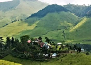 Masisi : nouveaux combats signalés entre les FARDC et le M23 près de Mushaki