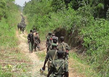 Beni : 3 terroristes ADF neutralisés sur la route Mbau-Kamango