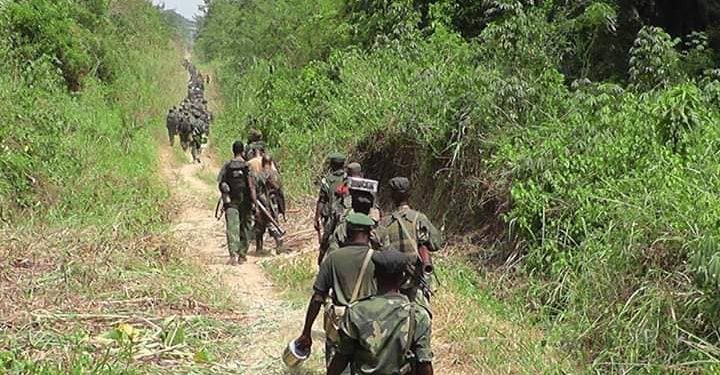 Beni : 3 terroristes ADF neutralisés sur la route Mbau-Kamango