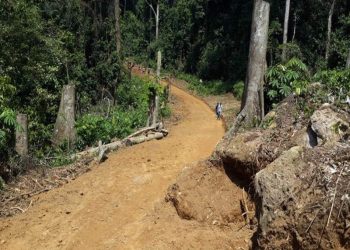 Walikale : des habitants se félicitent des travaux de réhabilitation de la route Buhimba-Ntoto