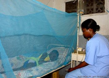 RDC : 840 mille ménages seront dotés des moustiquaires imprégnées à Kinshasa