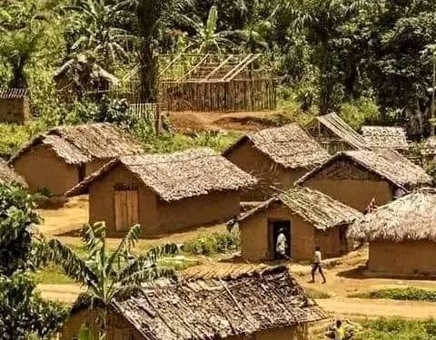 Masisi : retour au calme dans le village Kashuga