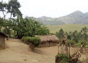 Guerre du M23/RDF : un calme précaire s&rsquo;observe sur l&rsquo;axe Mushaki-Mukobokobo