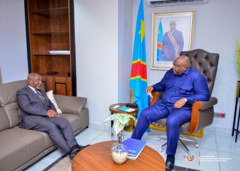 Guerre de l&rsquo;Est : « Nous avons des troupes qui combattent ici en RDC », (Harry Mlekanjala)