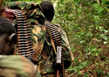 Beni : une découverte surprise dans un bastion des ADF