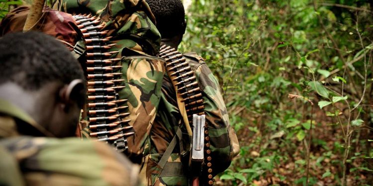Beni : une découverte surprise dans un bastion des ADF