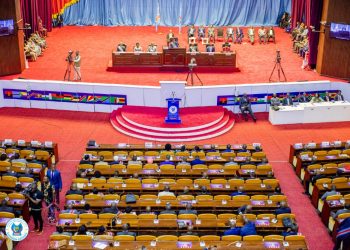 RDC : allons-nous vers un autre parlement « inutile » ?(Analyse)
