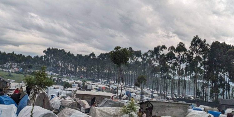 Guerre du M23/RDF : des femmes enceintes et des enfants blessés dans un camp des déplacés à Sake