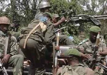 Ituri : deux djihadistes ADF neutralisés par les FARDC