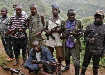 Ituri : une dizaine de civils tués par les terroristes ADF à Mambasa