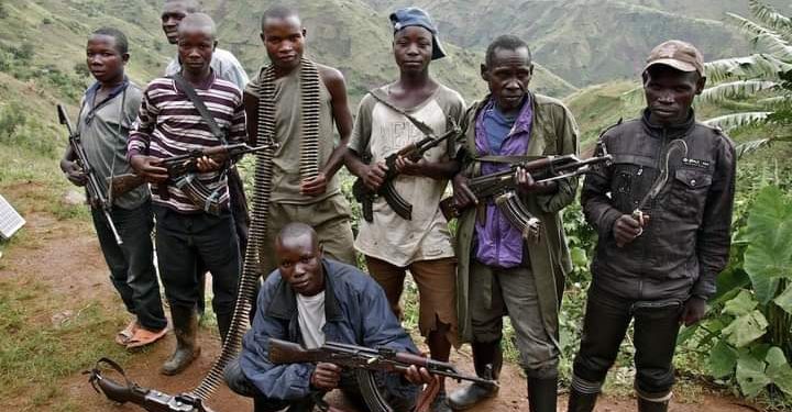 Ituri : une dizaine de civils tués par les terroristes ADF à Mambasa