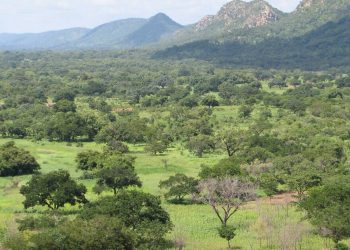 Beni : le gouvernement provincial cède provisoirement 550 hectares du PNVi à la population