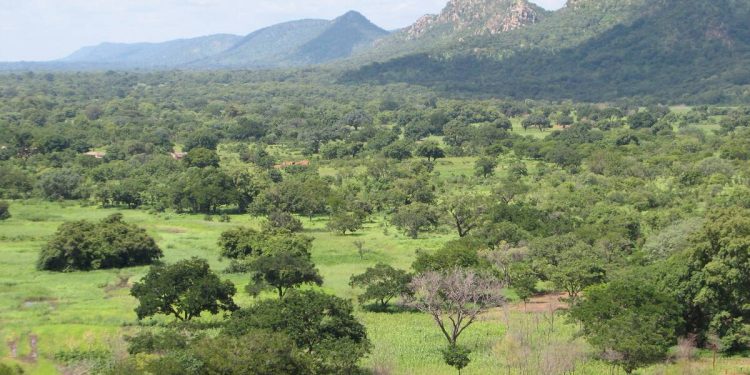 Beni : le gouvernement provincial cède provisoirement 550 hectares du PNVi à la population
