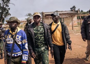 Ituri : les accords de paix signés entre groupes armés locaux produisent leur premier fruit