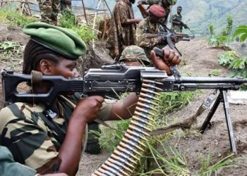 Guerre de l&rsquo;Est : cette mise en garde sévère de FPP/AP aux FDLR !