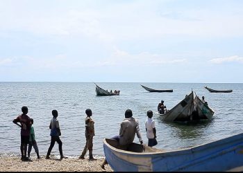 Beni : un jeune garçon happé par un crocodile à Kyavinyonge