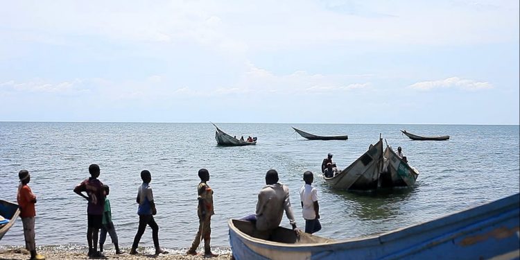 Beni : un jeune garçon happé par un crocodile à Kyavinyonge