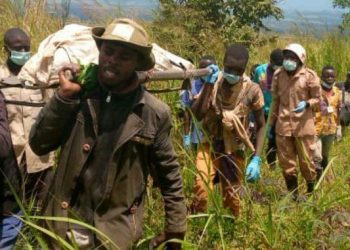 Ituri : deux corps en état de putréfaction découverts à Irumu