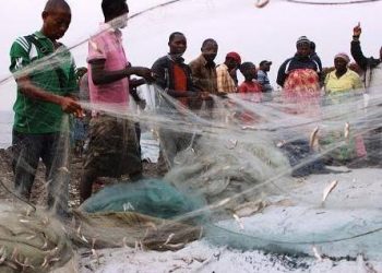 Ituri : la campagne d&rsquo;identification des pêcheurs lancée dans le secteur des pêches du territoire d&rsquo;Irumu