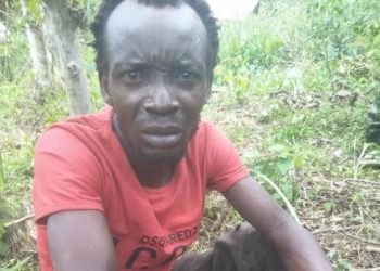 Beni : un collaborateur des ADF arrêté par les FARDC