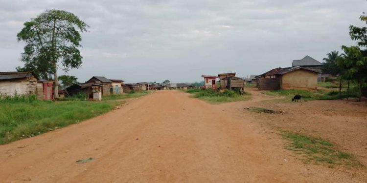 IMG-20240329-WA0108 - Agora Grands-Lacs Ituri : 4 morts dans une nouvelle attaque ADF à Irumu