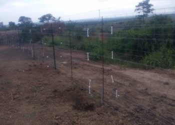 Rutshuru : la clôture électrique du Parc national des Virunga prise pour cible