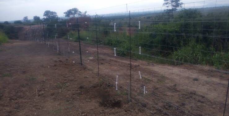 Rutshuru : la clôture électrique du Parc national des Virunga prise pour cible