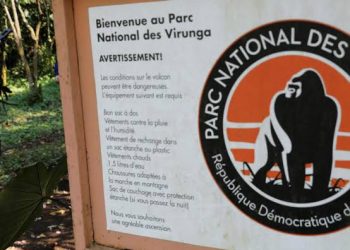 Guerre de l&rsquo;Est : l&rsquo;ICCN inquiet des conséquences des conflits armés sur le Parc national des Virunga