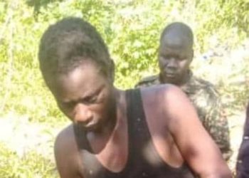 Beni : un terroriste ADF capturé dans la forêt de Mundubiena