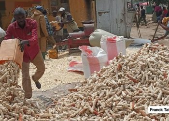 Révolutionner le financement agricole, défi majeur pour une Afrique nourricière