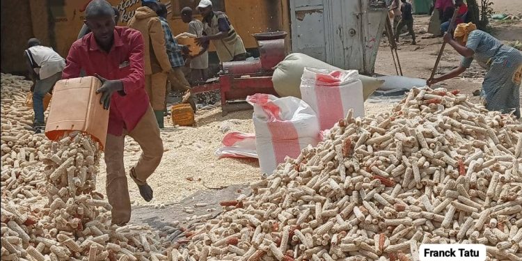 Révolutionner le financement agricole, défi majeur pour une Afrique nourricière