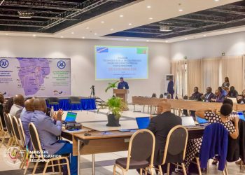 SADC : des réflexions autour du poste frontalier de Kasumbalesa se tiennent à Kinshasa entre la RDC et la Zambie