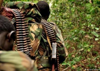 Ituri : quatre morts et une fillette portée disparue dans une nouvelle incursion des ADF à Kyabaganze