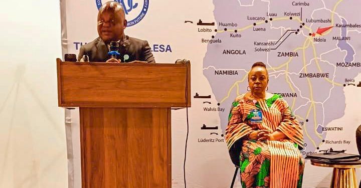 SADC : Mbusa Nyamwisi insiste sur un « travail de qualité » pour décanter les défis liés au poste frontalier de Kasumbalesa