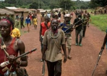 Ituri : l&rsquo;AT d&rsquo;Irumu indigné par des agissements de « faux ADF »